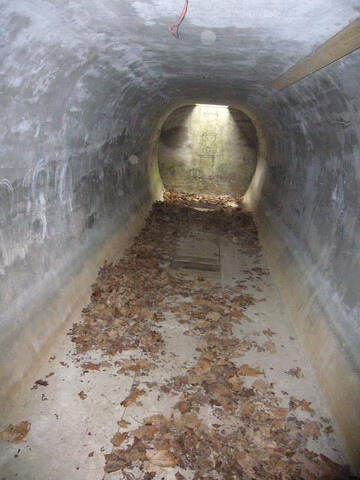 SHG25830_243.JPG