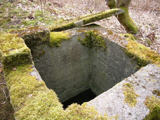 SHG25830_242.JPG