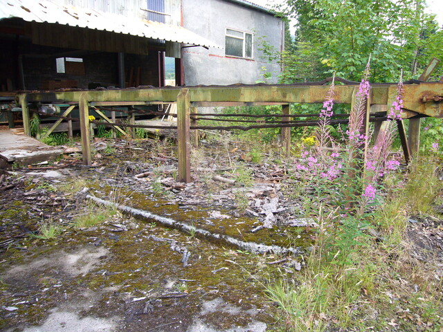 SHG25830_285.JPG