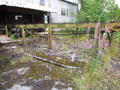 SHG25830_285.JPG