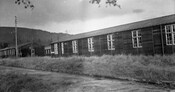 SHG25830_313.jpg