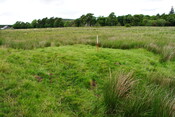 EHG3773_01.JPG