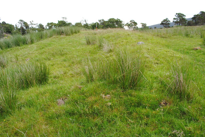 EHG3773_03.JPG