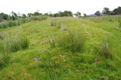 EHG3773_03.JPG