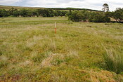 EHG3773_04.JPG