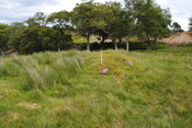 EHG3773_05.JPG