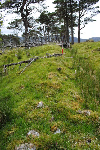 EHG3773_06.JPG