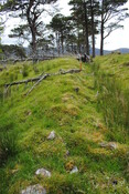 EHG3773_06.JPG