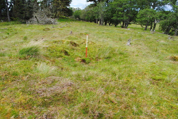 EHG3773_07.JPG