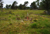 EHG3773_08.JPG