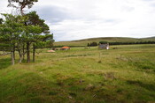 EHG3773_09.JPG