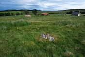 EHG3773_11.JPG