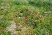 EHG3773_12.JPG