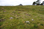 EHG3773_15.JPG