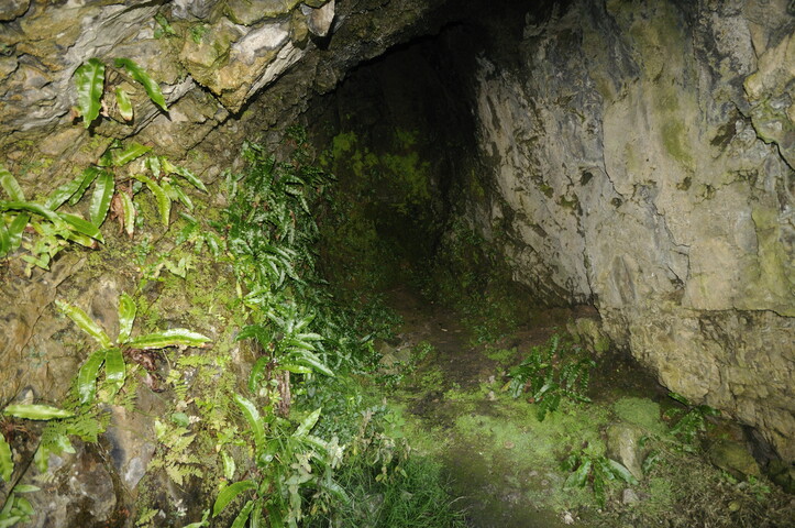 _DSC9982.jpg