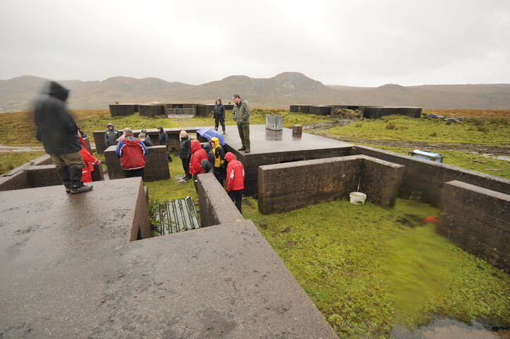 _DSC8533.JPG