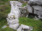 EHG3779_13b.JPG