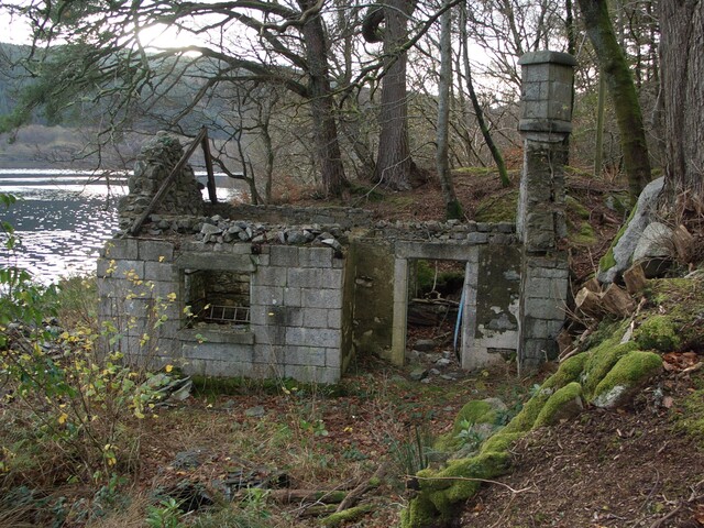 SHG25841_1.JPG