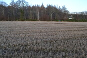 EHG3787_2.JPG