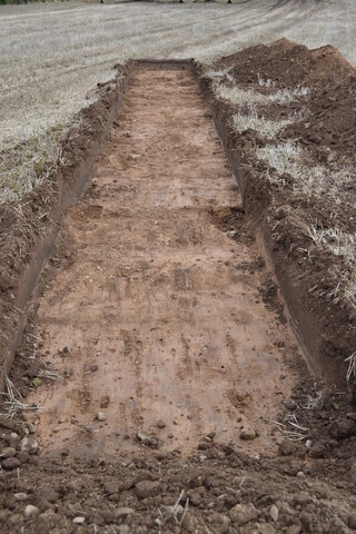EHG3787_5.JPG