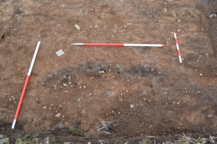 EHG3787_8.JPG