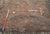 EHG3787_8.JPG