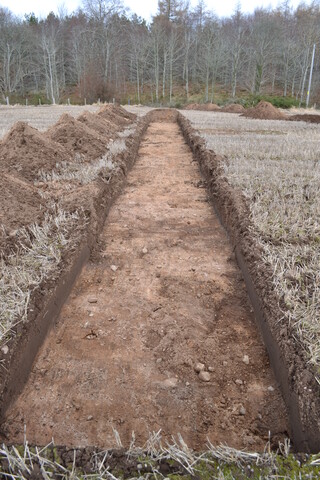 EHG3787_10.JPG