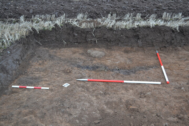 EHG3787_17.JPG