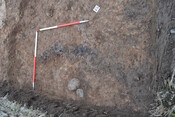EHG3787_19.JPG