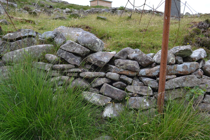 EHG3789_22.JPG