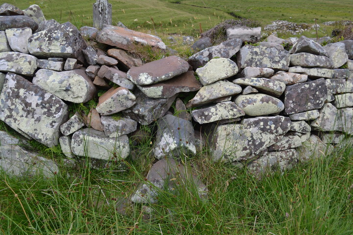 EHG3789_39.JPG
