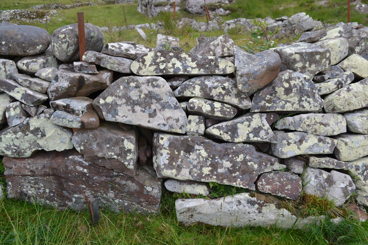 EHG3789_41.JPG