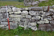 EHG3789_42.JPG