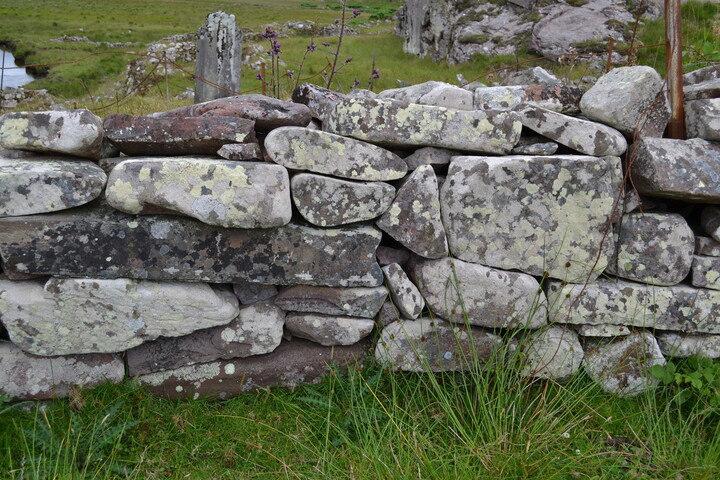 EHG3789_44.JPG