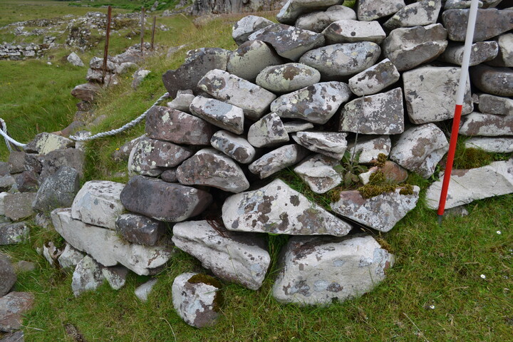 EHG3789_50.JPG