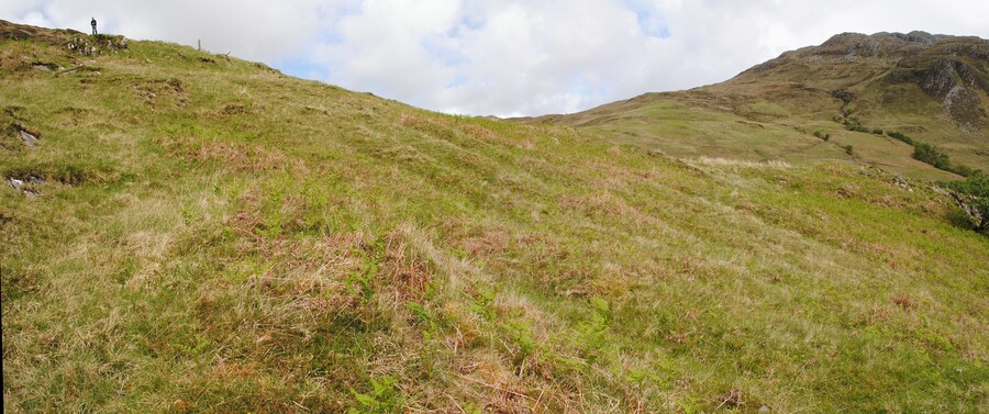 EHG3793_01.jpg