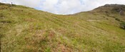 EHG3793_01.jpg