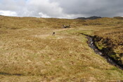 EHG3793_03.JPG