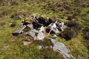 EHG3793_06.JPG