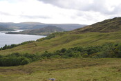 EHG3793_15.JPG