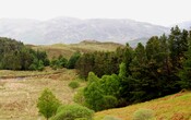 EHG3795_1.JPG