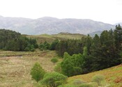 EHG3795_2.JPG