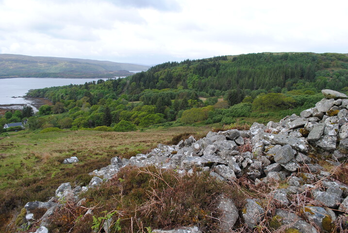 EHG3795_5.JPG