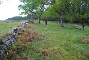 EHG3795_7.JPG