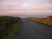 06.JPG