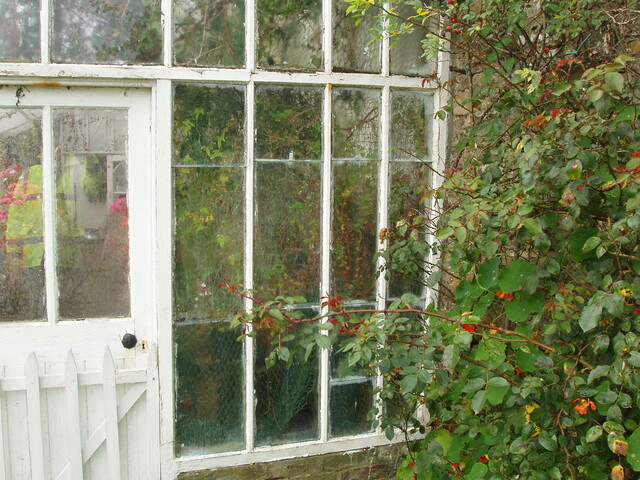 P1060031.JPG