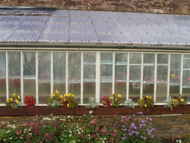 P1060034.JPG