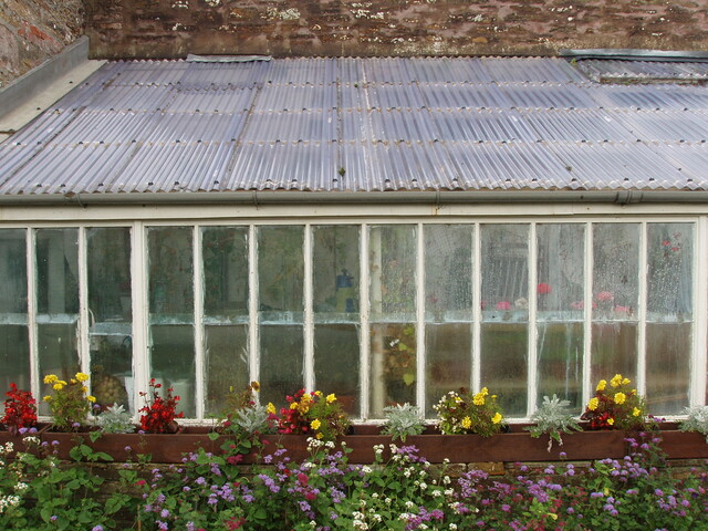 P1060036.JPG
