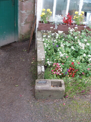 P1060038.JPG