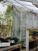 P1060044.JPG